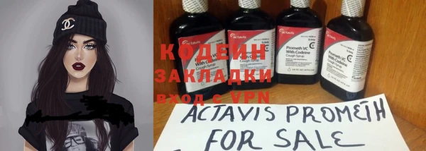 круглые Вязьма
