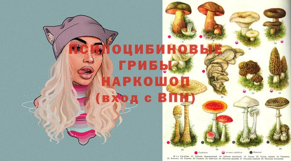 ALPHA PVP Вязники