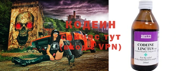 круглые Вязьма