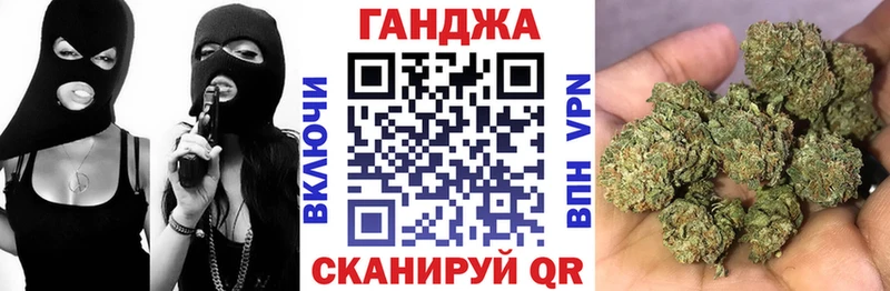 Бошки Шишки гибрид  продажа наркотиков  Вологда 